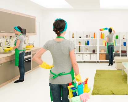 <p style="font-family: 'Poppins', sans-serif; font-weight: 700; font-size:24px;">MOVE IN CLEANING</p>